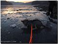 Alesha 1-2009